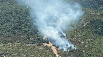 İzmir Fo&ccedil;a'da &ccedil;ıkan orman yangını kontrol altına alındı
