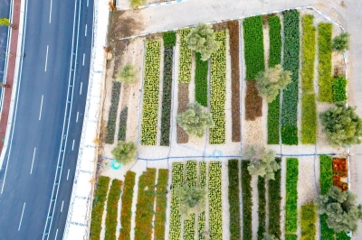 İzmir&rsquo;in Renkleri B&uuml;y&uuml;kşehir Fidanlıklarında Filizleniyor