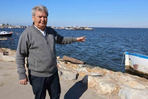 İzmir K&ouml;rfezi&rsquo;ndeki balık &ouml;l&uuml;mleri ile d&uuml;nya rekoru kırıldı
