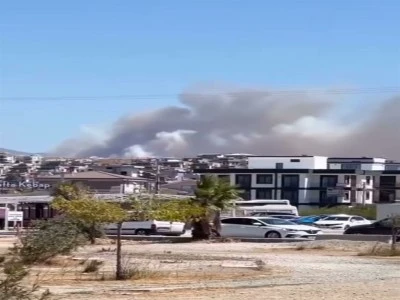 İzmir Seferihisar'da orman yangını