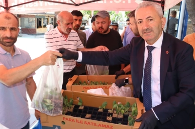 İzmit Belediyesinden Vatandaşa &Uuml;cretsiz Fide Desteği