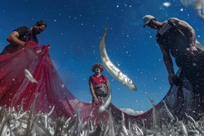 İznik Belediyesi tarafından d&uuml;zenlenen Ekinoks Fotoğraf Yarışması'nın kazananları belli oldu
