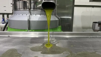 İznik'te bu yılın ilk zeytinyağı sıkımı ger&ccedil;ekleştirildi