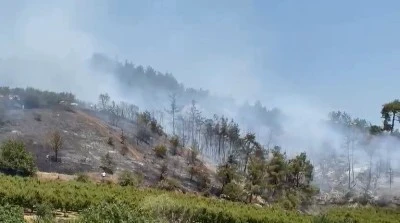  İznik&rsquo;te &ccedil;ıkan orman yangını kontrol altına alındı