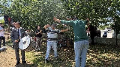 İznik&rsquo;te erik hasadı başladı: Rekolte artışı &ccedil;ift&ccedil;iye g&ouml;bek attırdı!