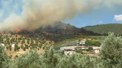 İznik'te orman yangını