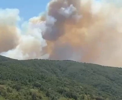 İznik'te orman yangını