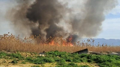 İznik'te r&uuml;zgarla birlikte sazlık yangını b&uuml;y&uuml;yor