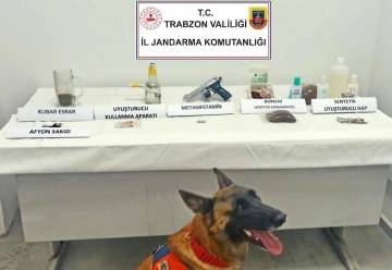 Jandarma narkotik k&ouml;peği &lsquo;Limon&rsquo; ilk operasyonunda tespit etti
