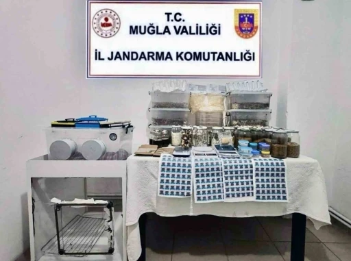 Jandarmadan operasyon: 110 milyon TL değerinde 22 kilo uyuşturucu ele ge&ccedil;irildi
