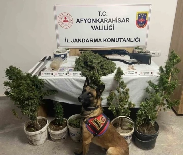 Jandarmadan uyuşturucu operasyonu:6 g&ouml;zaltı
