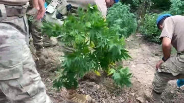 Jandarmadan uyuşturucu ve ka&ccedil;ak&ccedil;ılık operasyonu: 11 tutuklama
