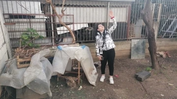 JASAT ekiplerini kapıda g&ouml;r&uuml;nce 4&rsquo;&uuml;nc&uuml; katın balkonundan aşağı atladı
