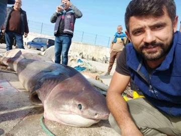Bursa Gemlik'te 3,5 metre boyunda k&ouml;pekbalığı yakalandı