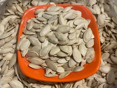 Kabak &ccedil;ekirdeğine "Salmonella", zencefile "Bacillus cereus" nasıl bulaşıyor
