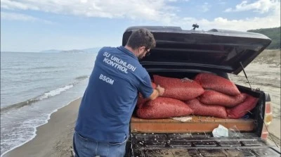 Ka&ccedil;ak avlanan 2 ton 760 kilogram kum şırlanı Mudanya'da doğaya bırakıldı