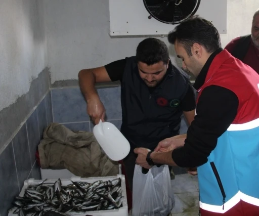 Ka&ccedil;ak avlanan balıklar ihtiya&ccedil; sahibi aileler ve eğitim kurumlarına dağıtıldı
