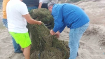 Bursa'da ka&ccedil;ak avlanan bin kilo kum şırlanı denize bırakıldı