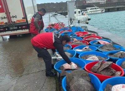 Ka&ccedil;ak avlanan y&uuml;zlerce kalkan balığına el konuldu