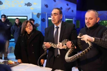 Ka&ccedil;ak yollarla yurda sokulan 108 hayvanın yeni yuvası Gaziantep oldu
