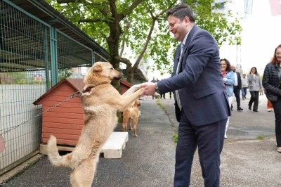 Kadık&ouml;y Belediyesi Ge&ccedil;ici Hayvan Bakımevi yenilendi
