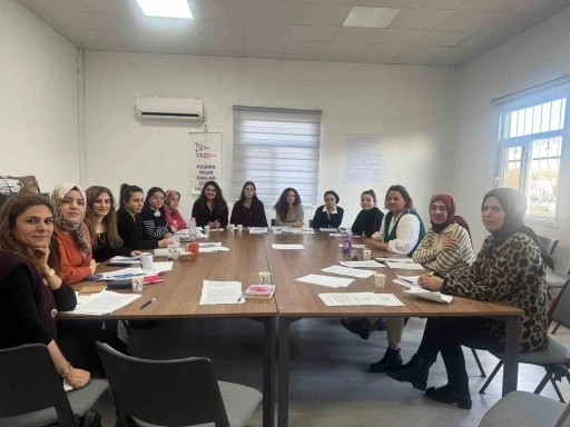 Kadın hakları i&ccedil;in eğitim programı başladı
