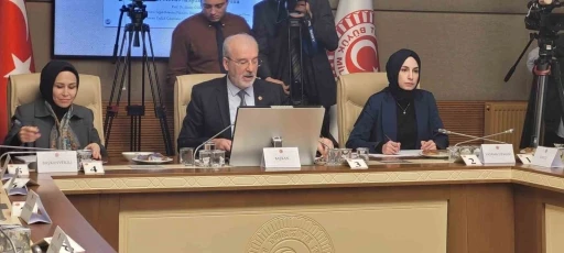 Kadına Karşı Şiddet ve Ayrımcılığın &Ouml;nlenmesi Komisyonu &ldquo;dijital şiddet" başlığıyla toplandı
