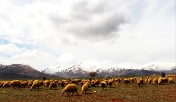 Kahramanmaraş&rsquo;a yılın ilk karı yağdı, kartpostallık g&ouml;r&uuml;nt&uuml;ler oluştu
