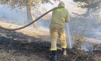 Kahramanmaraş&rsquo;ta &ccedil;ıkan orman yangını kontrol altına alındı