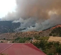 Kahramanmaraş&rsquo;ta orman yangını