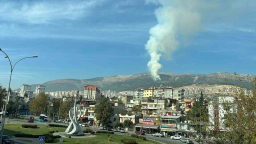 Kahramanmaraş&rsquo;ta orman yangını
