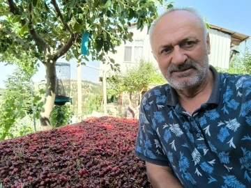 Kahramanmaraş&rsquo;ta &uuml;retilen kiraz bah&ccedil;ede 27.5 markette 60 lira
