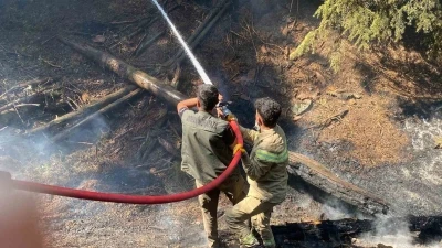 Kahramanmaraş&rsquo;taki orman yangınına m&uuml;dahale s&uuml;r&uuml;yor