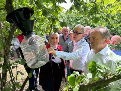 Kahverengi Kokarca i&ccedil;in 145 tuzak asıldı
