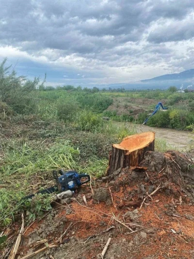 Kamuya ait alanda ağa&ccedil; kesen ş&uuml;pheliler yakalandı
