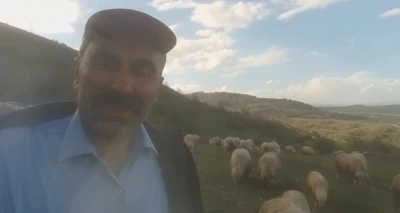 Kangallardan korkan ayı ağaca tırmandı
