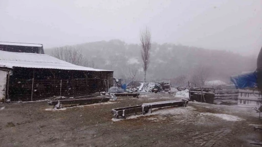 Kar, Balkanlar&rsquo;dan Edirne&rsquo;ye giriş yaptı: Sınır k&ouml;yler beyaza b&uuml;r&uuml;nd&uuml;