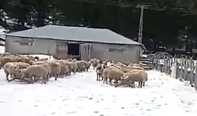 Kar nedeniyle mahsur kalan vatandaş kurtarıldı