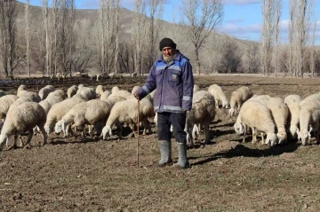 Kar yağmayınca k&uuml;&ccedil;&uuml;kbaş hayvanlar meralarda otlamaya devam etti
