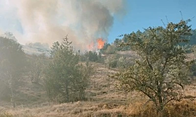 Karab&uuml;k&rsquo;te orman yangını