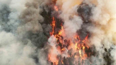 Karab&uuml;k&rsquo;te orman yangını nedeniyle bir mahalle boşaltıldı