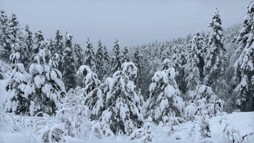 Karab&uuml;k&rsquo;te sis ve kar yağışı devam ediyor
