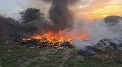 Karacabey'de arazi yangını b&uuml;y&uuml;meden s&ouml;nd&uuml;r&uuml;ld&uuml;