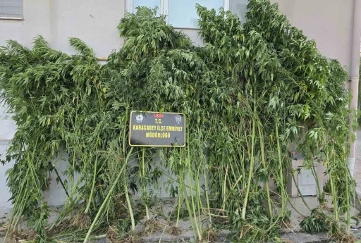 Karacabey&rsquo;de uyuşturucu operasyonunda 1 tutuklama