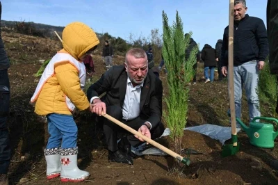 Karacabey&rsquo;de yangın sonrası ilk fidanlar toprakla buluştu