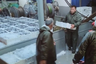 Karadeniz&rsquo;de hamsi bolluğu