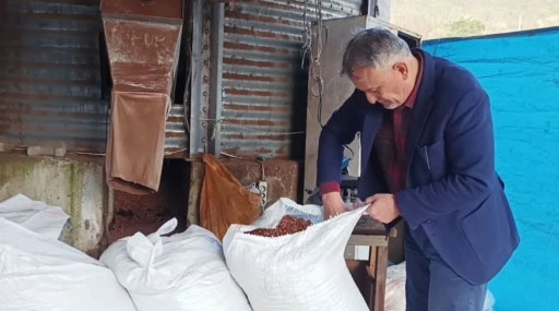 Karadeniz&rsquo;de odun yerine kullanılan fındık kabuğu fiyatları d&uuml;şt&uuml;
