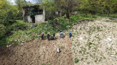 Karadeniz kadınının zorlu mesaisi başladı

