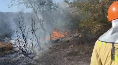Karam&uuml;rsel, İznik sınırında orman yangını  kontrol altına alındı