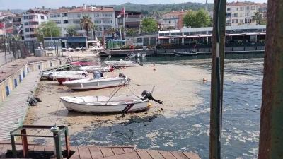 Karam&uuml;rsel sahili m&uuml;silajla kaplandı

